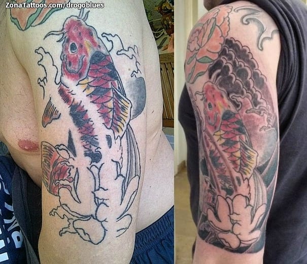 Foto de tatuaje Koi, Peces, Orientales