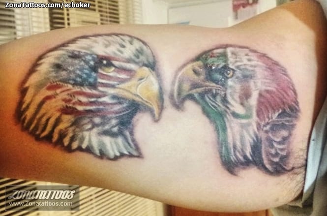 Tattoo photo Eagles, Animals, Birds