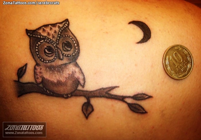 Tattoo of Owls, Birds, Animals