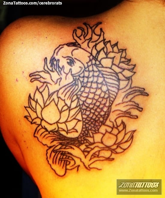 Tattoo photo Koi, Fish, Animals