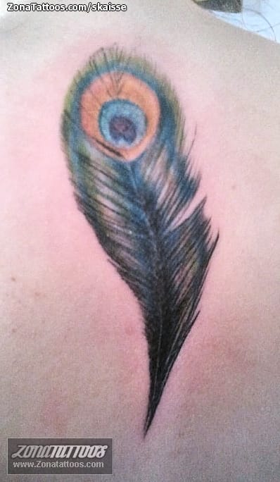 Tattoo photo Feathers