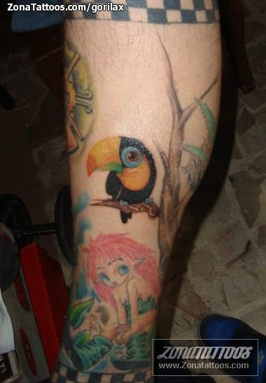 Foto de tatuaje Tucanes, Aves, Animales