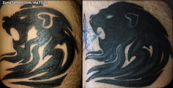 Foto de tatuaje Leones, Tribales, Animales