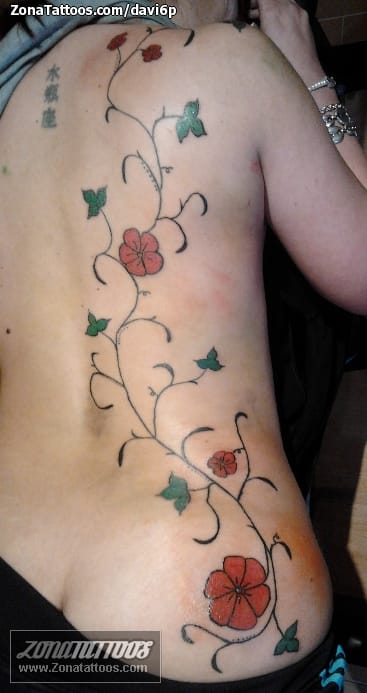 Foto de tatuaje Enredaderas, Flores, Espalda