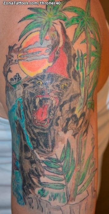 Tattoo photo Animals, Panthers, Landscapes