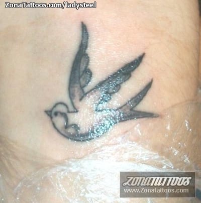 Foto de tatuaje Golondrinas, Aves, Animales