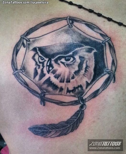 Tattoo photo Owls, Birds, Dreamcatcher