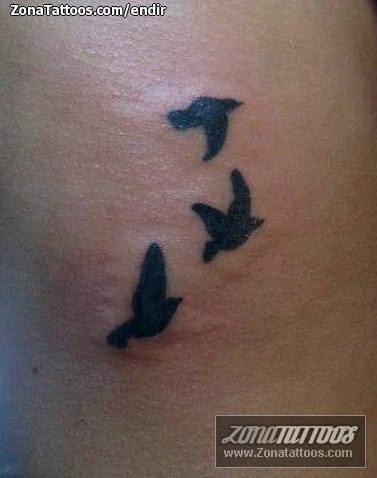 Foto de tatuaje Aves, Animales