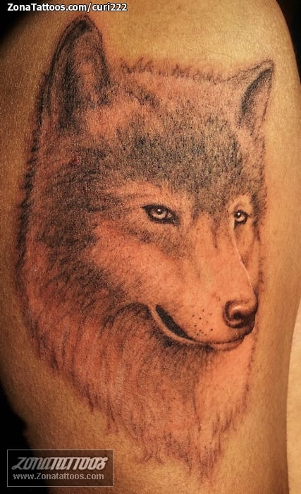 Foto de tatuaje Lobos, Animales