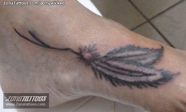 Foto de tatuaje Plumas, Pie