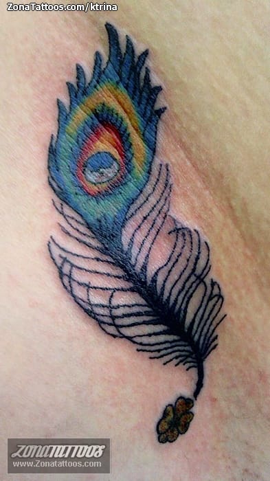 Tattoo photo Feathers