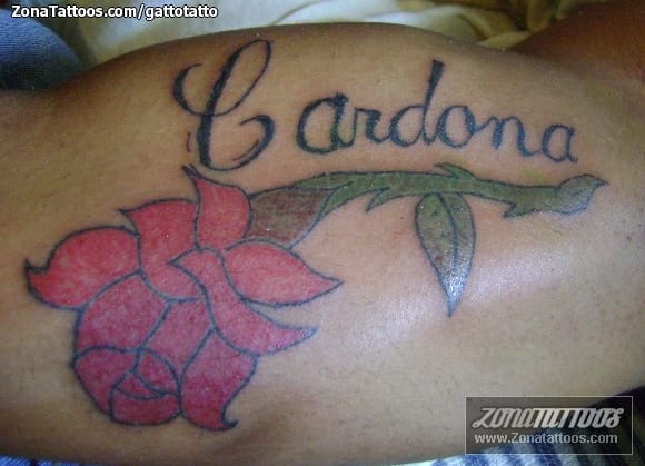 Foto de tatuaje Flores, Rosas, Letras