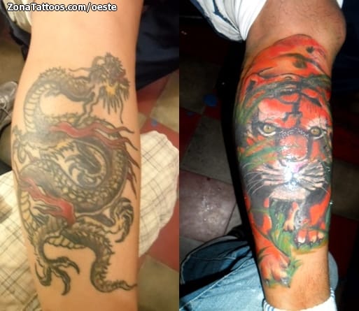 Foto de tatuaje Tigres, Cover Up, Animales