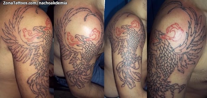 Foto de tatuaje Ave Fénix, Brazo, Fantasía