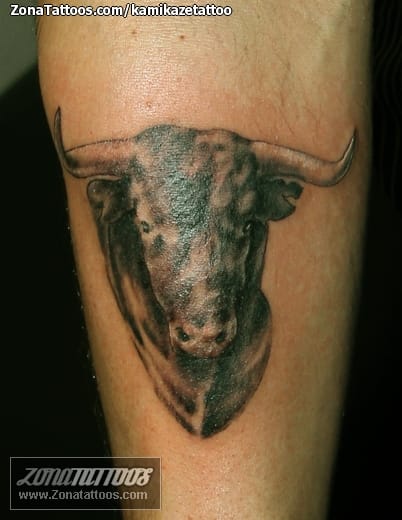 Tattoo photo Bulls, Animals