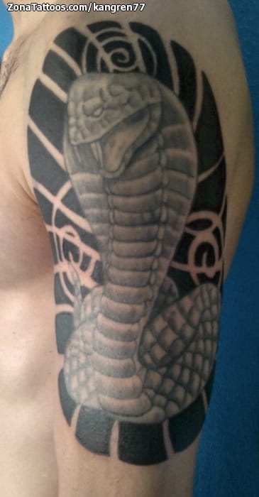 Tatto Png - Maori Tattoo Designs, Transparent Png - vhv