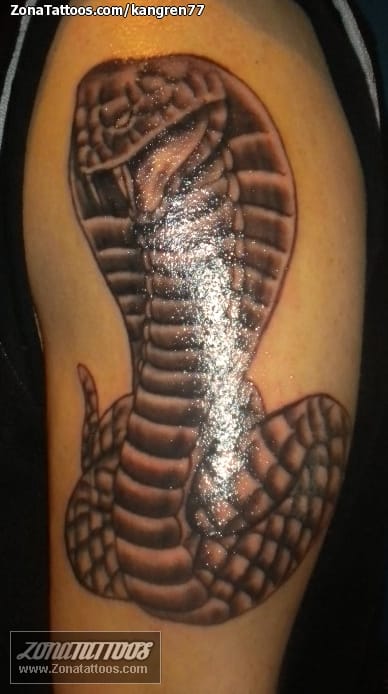 Tattoo photo Animals, Snakes