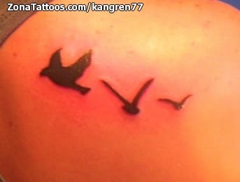 Foto de tatuaje Aves, Animales