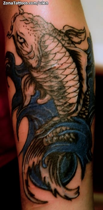 Foto de tatuaje Koi, Peces, Orientales