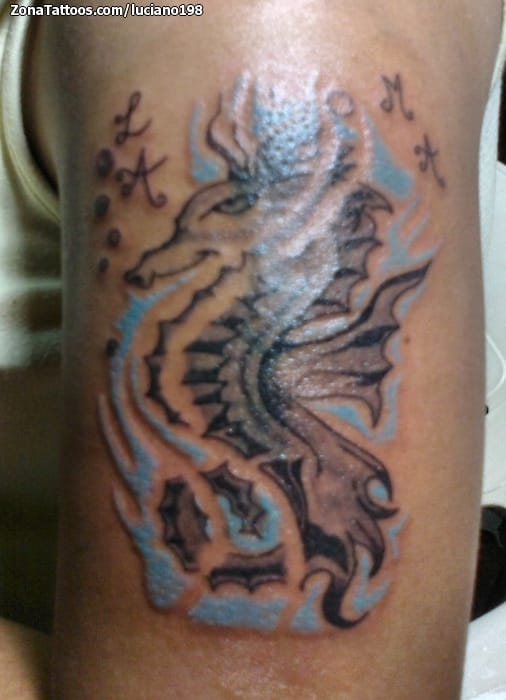 Tattoo photo Seahorses, Animals