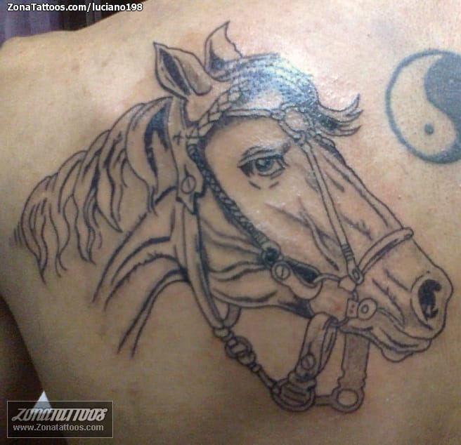 Foto de tatuaje Caballos, Animales, Omóplato