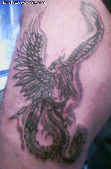 Tattoo photo Phoenix, Fantasy