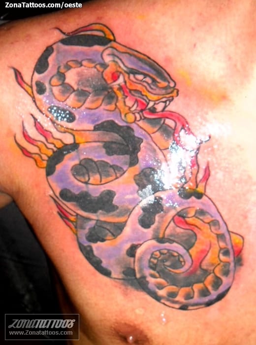 Tattoo photo Snakes, Fires, Old School