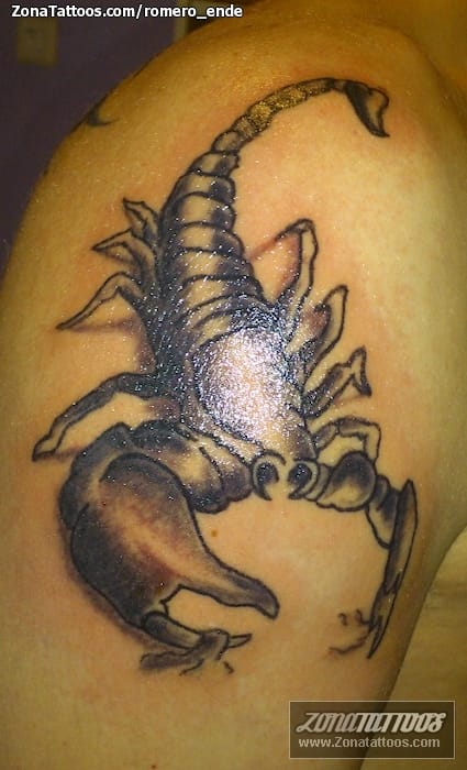 Tattoo photo Scorpions, Insects