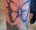 Tatuaje de alexis23