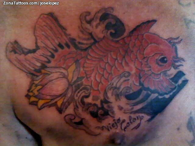 Tattoo photo Koi, Asian, Fish