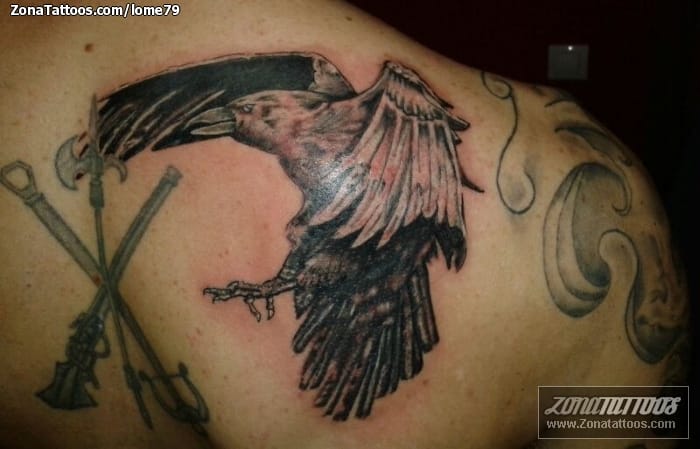 Foto de tatuaje Aves, Cuervos, Animales