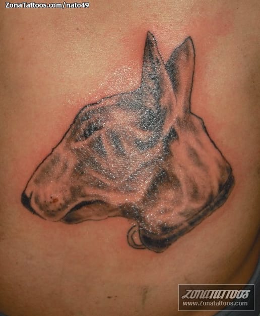 Tattoo photo Dogs, Animals