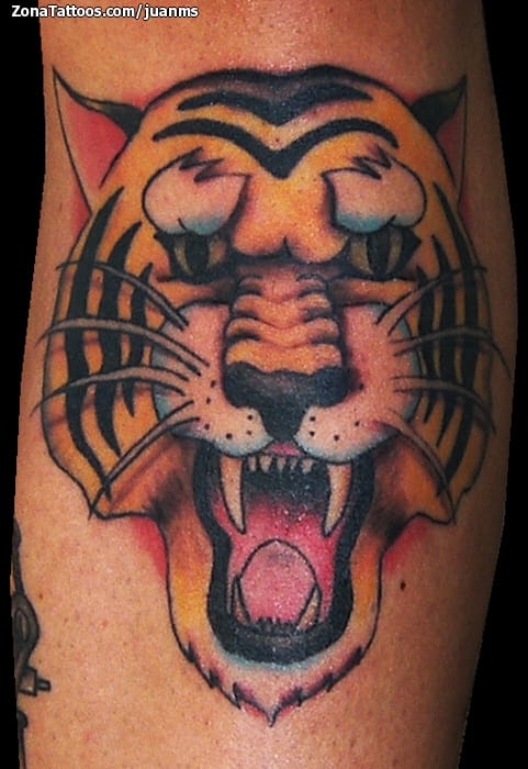 Foto de tatuaje Tigres, Old School, Animales