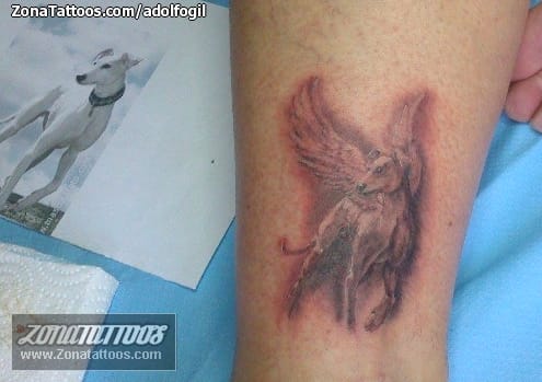 Foto de tatuaje Animales, Perros, Pierna