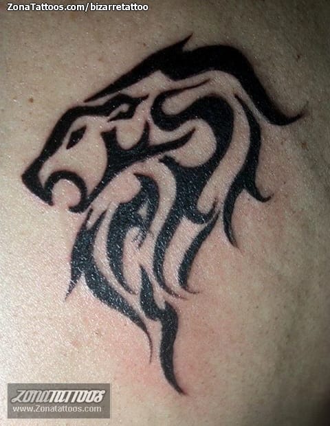 Foto de tatuaje Leones, Tribales, Animales