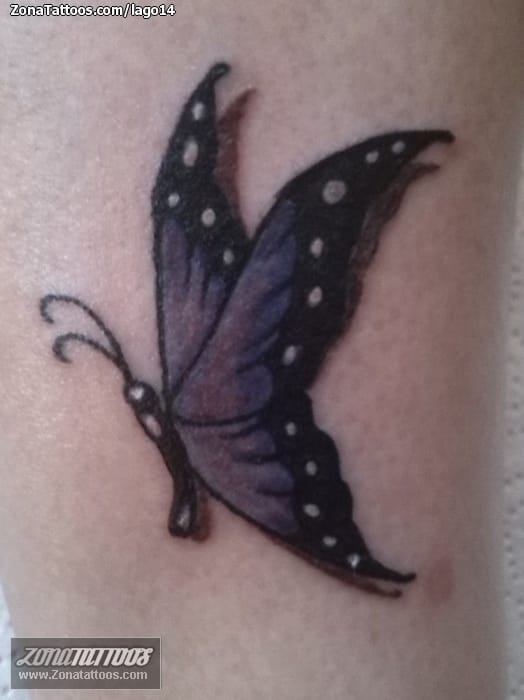 Foto de tatuaje Mariposas, Insectos