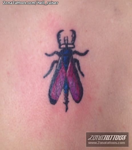 Foto de tatuaje Insectos