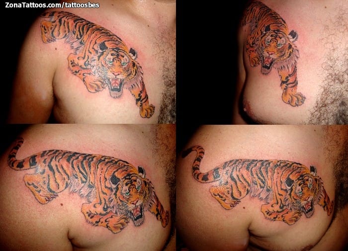 Foto de tatuaje Tigres, Animales