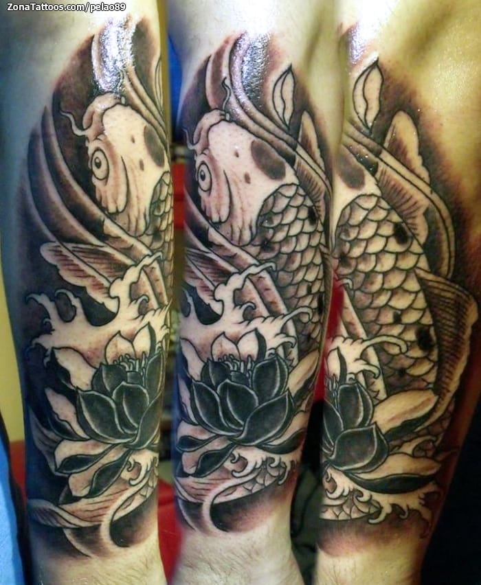 Tattoo of Koi, Fish, Lotus