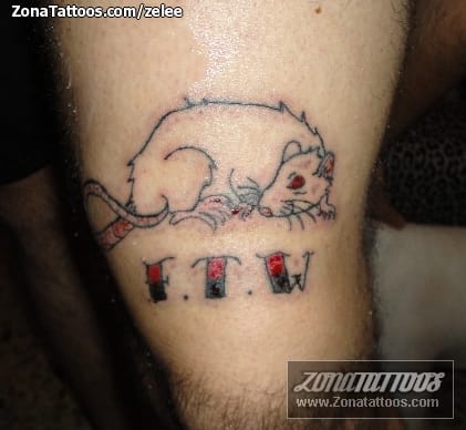 Foto de tatuaje Ratas, Animales