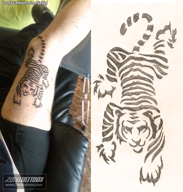 Foto de tatuaje Tigres, Animales