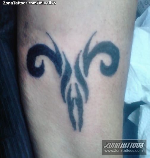 Tattoo photo Zodiac
