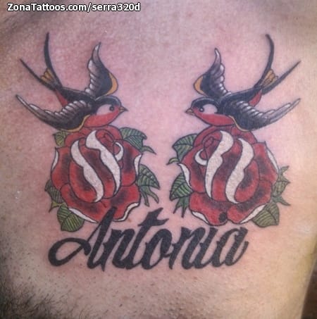 Tattoo photo Swallows, Roses, Names