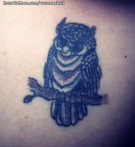 Foto de tatuaje Búhos, Aves, Animales