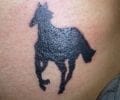 Tattoo by ponywicked