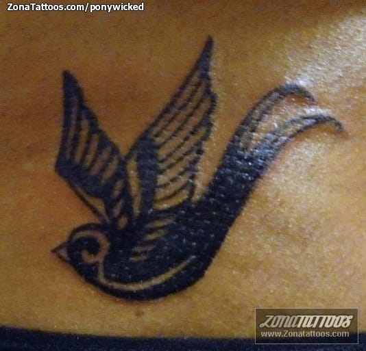 Foto de tatuaje Golondrinas, Aves, Animales