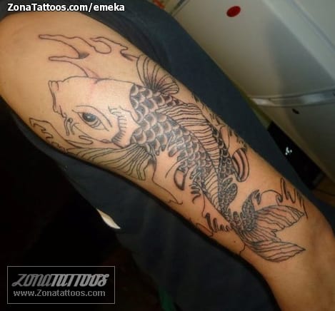 Tattoo photo Koi, Fish, Animals