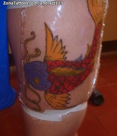 Foto de tatuaje Koi, Peces, Animales