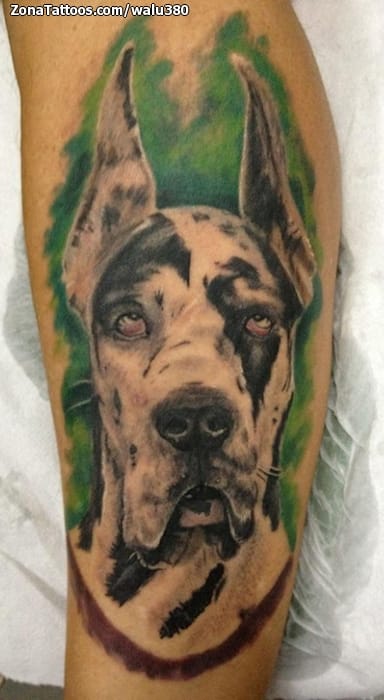 Foto de tatuaje Animales, Perros