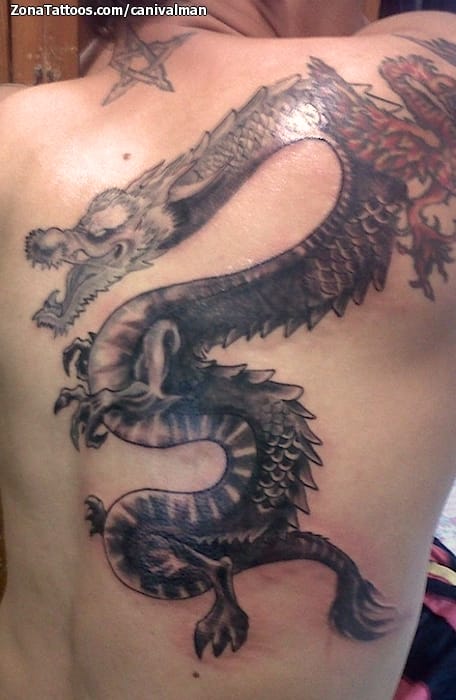 Tattoo photo Dragons, Back, Asian